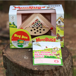 Mini Bug Bug Box