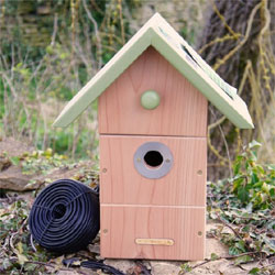 Wildlife World All Year Round Hi Spec Colour / Infrared Educational Camera Nestbox System