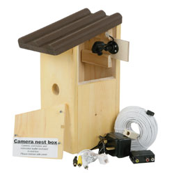 Nest Box with Infra Red Camera