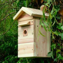 Wildlife World Premium Colour and Infrared Nest Box or Bird Table Camera System