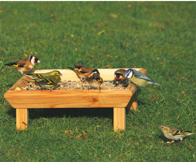 Square Ground Bird Table