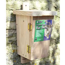 Double Chamber Wooden Bat Box
