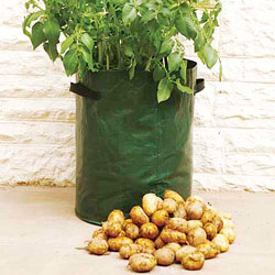 Potato Growing Bag 40 Litre