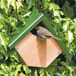  Robin & Wren Nest Box 