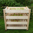 Wooden Fruit and Vegetable Larder, Rack and Store